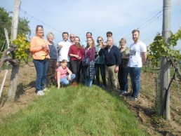 Weinwanderung: Menschengruppe im Weingarten